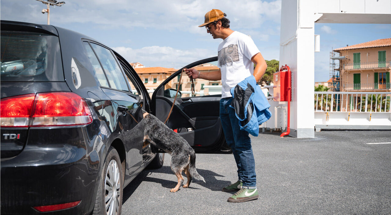 Animale a bordo viaggio in auto per Isola Elba