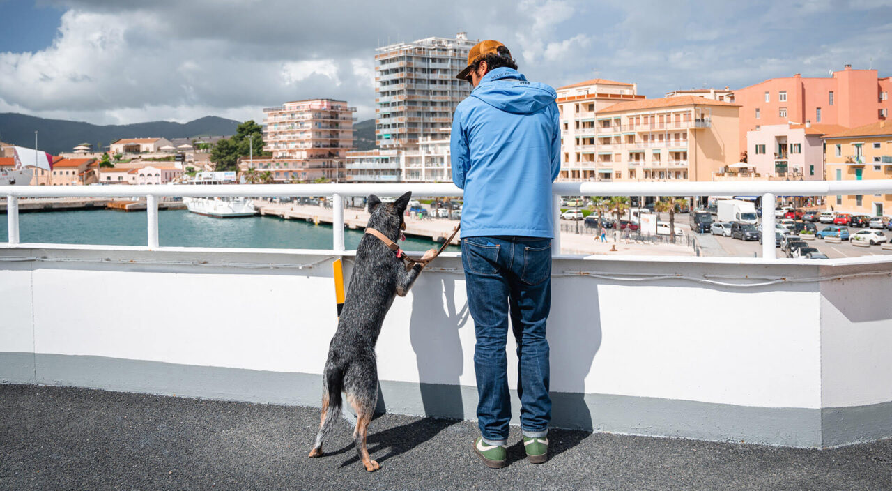 Animali a bordo su ponte traghetto per Elba Blu Navy