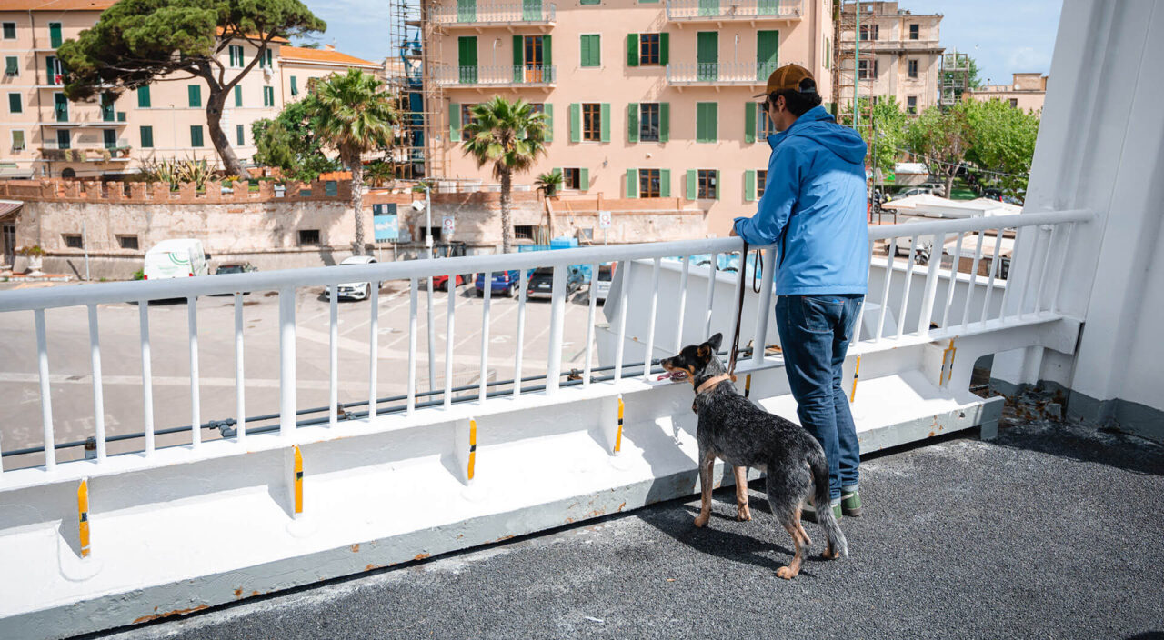 Animali a bordo traghetto per Elba Blu Navy