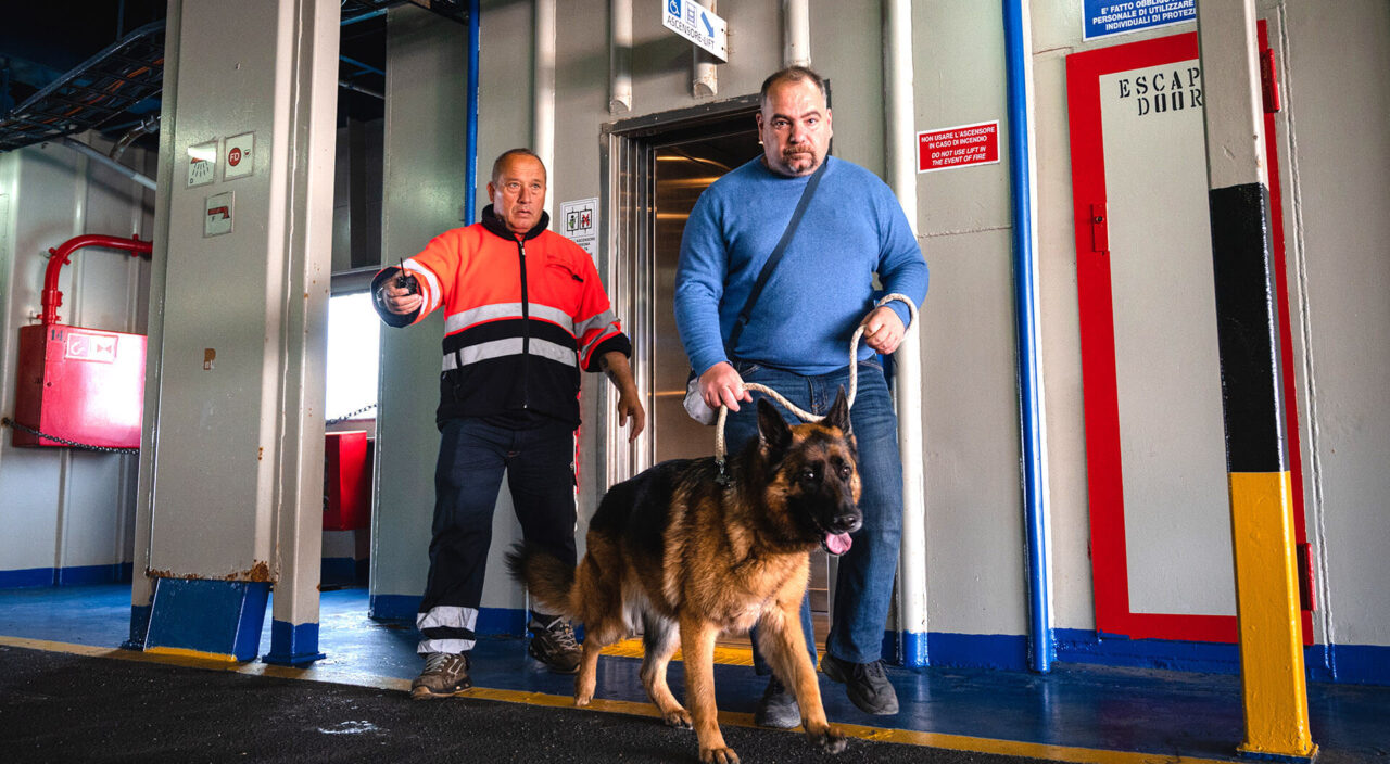 Animali a bordo traghetto per Elba con assistente Blu Navy
