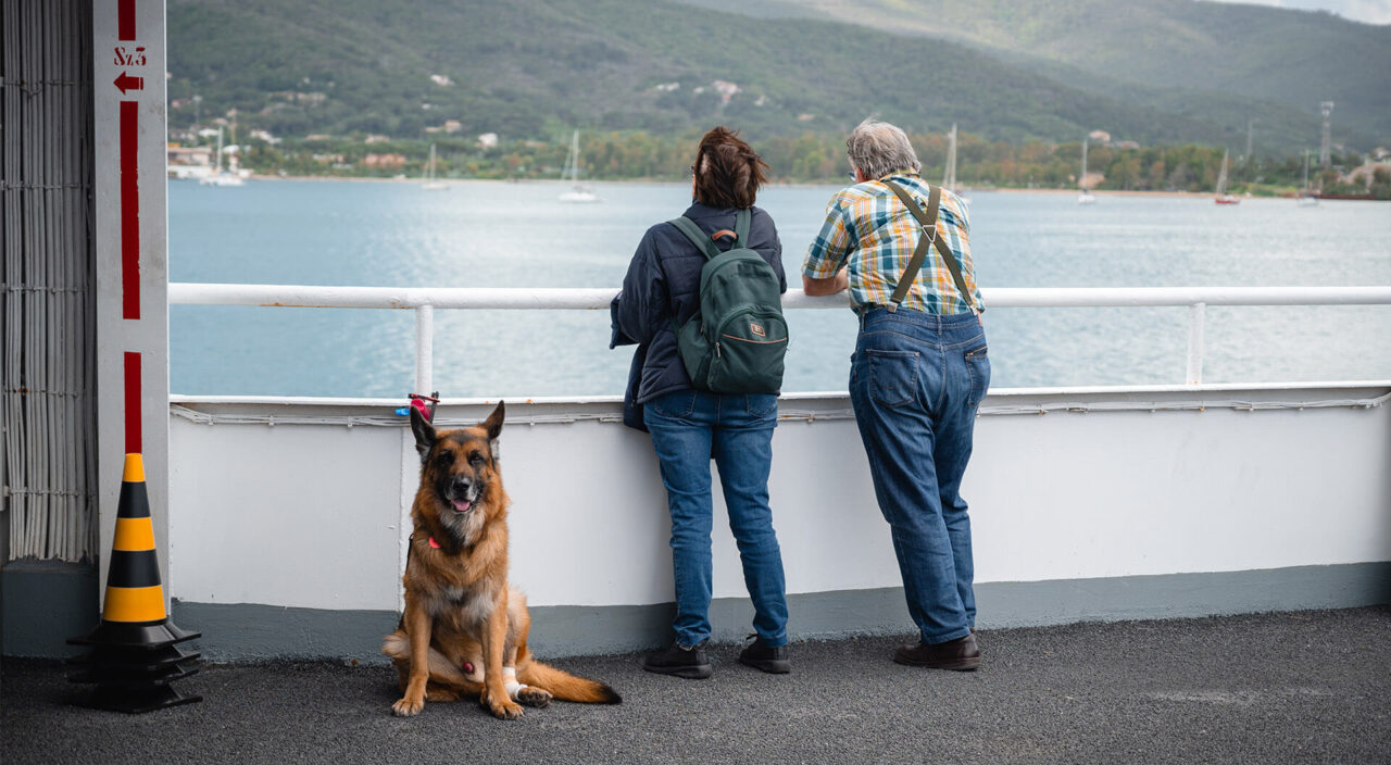 Cane traghetto isola Elba
