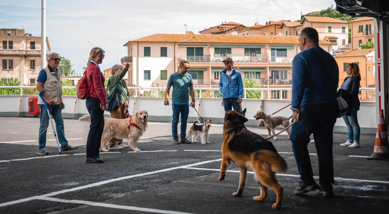 Cani a bordo traghetto per Elba Blu Navy