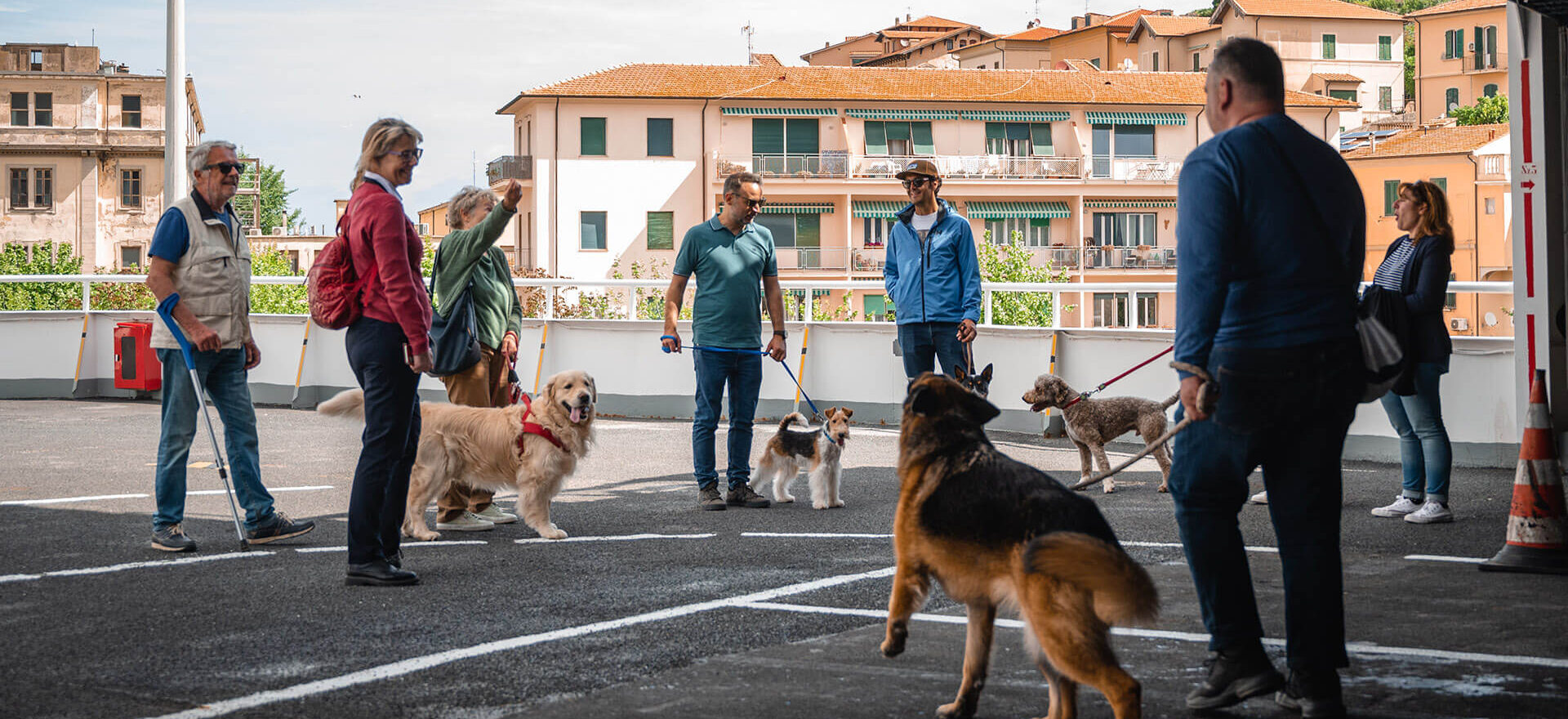 Cani a bordo traghetto per Elba Blu Navy