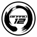 Binario 12
