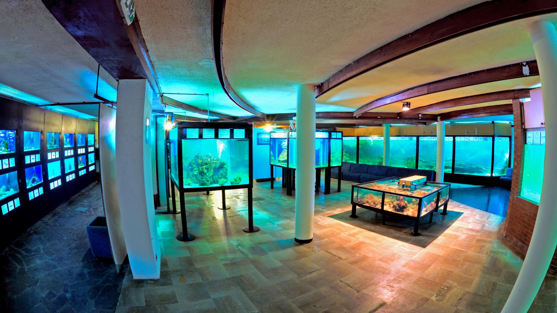 acquario Elba con Blu Navy