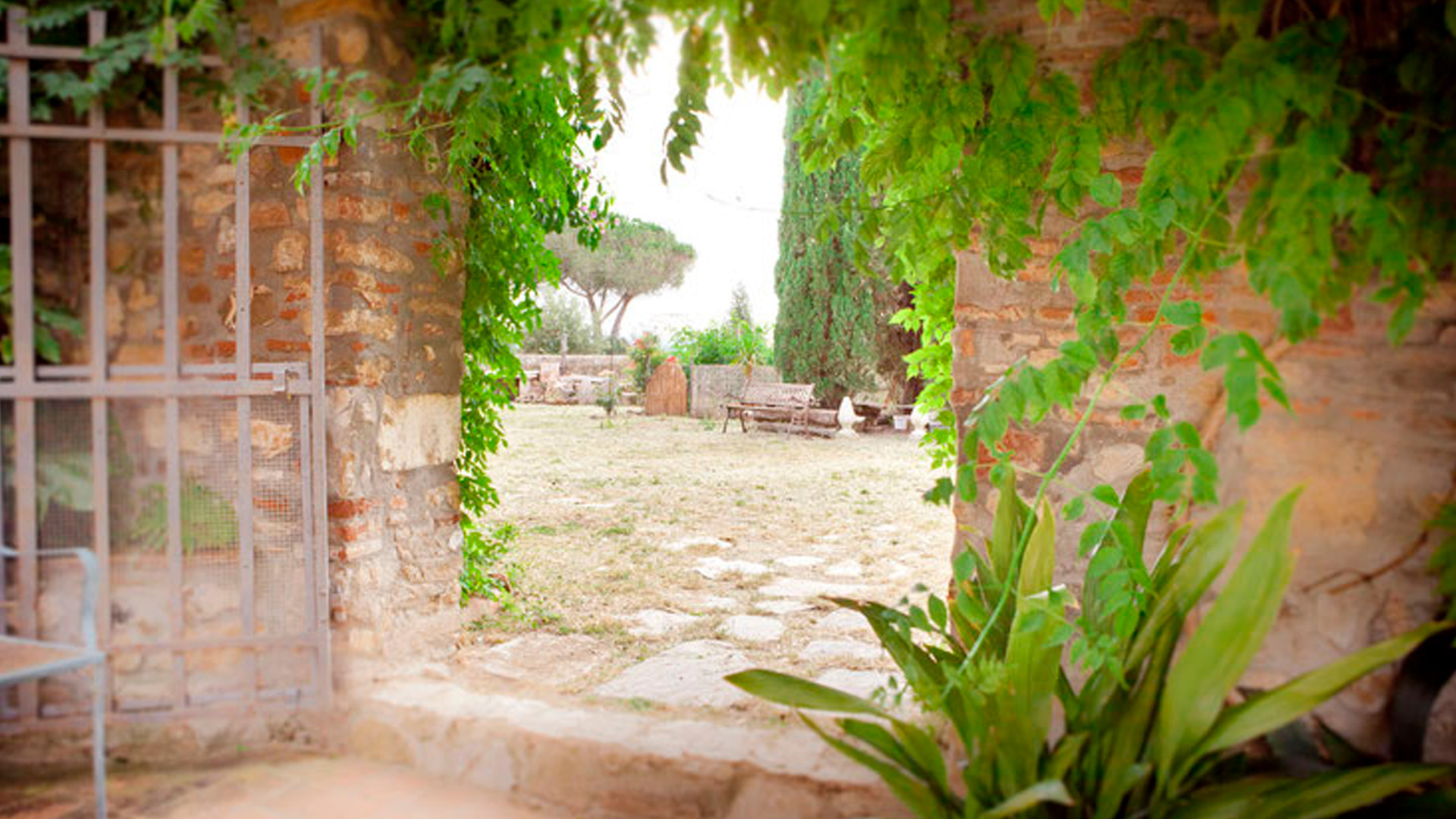 bed and breakfast il pievano con BluNavy traghetti