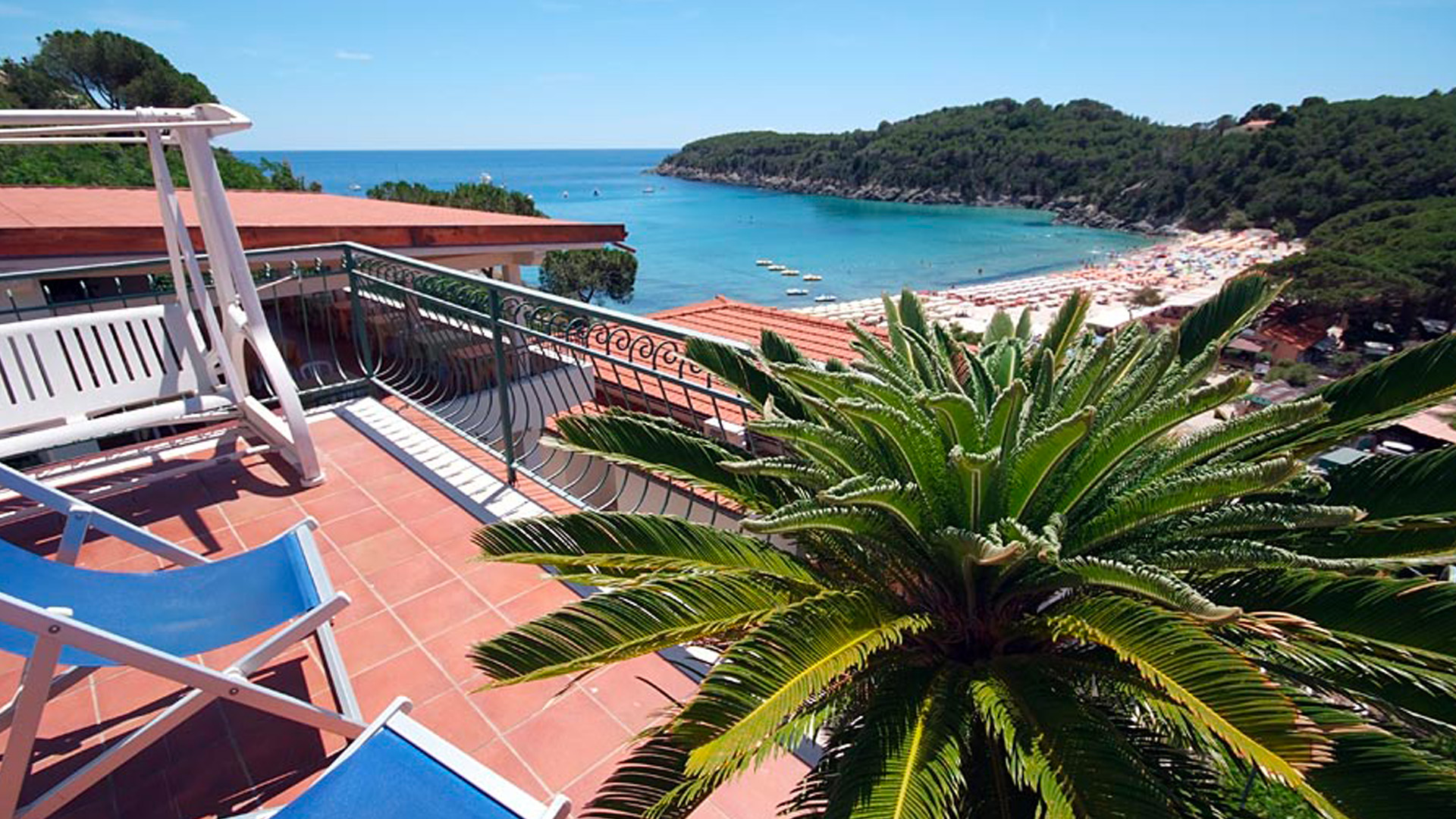 hotel alma con BluNavy traghetti