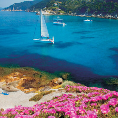 hotel gallo nero con BluNavy traghetti