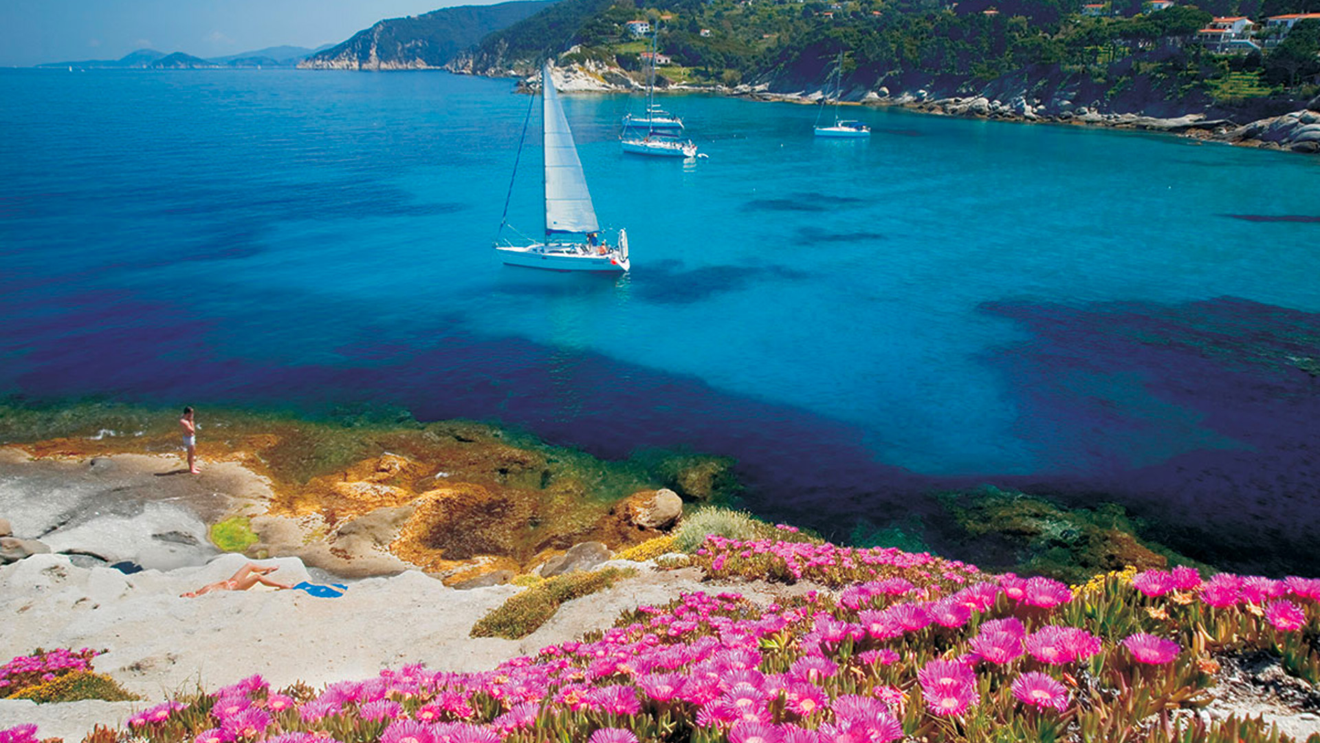 hotel gallo nero con BluNavy traghetti