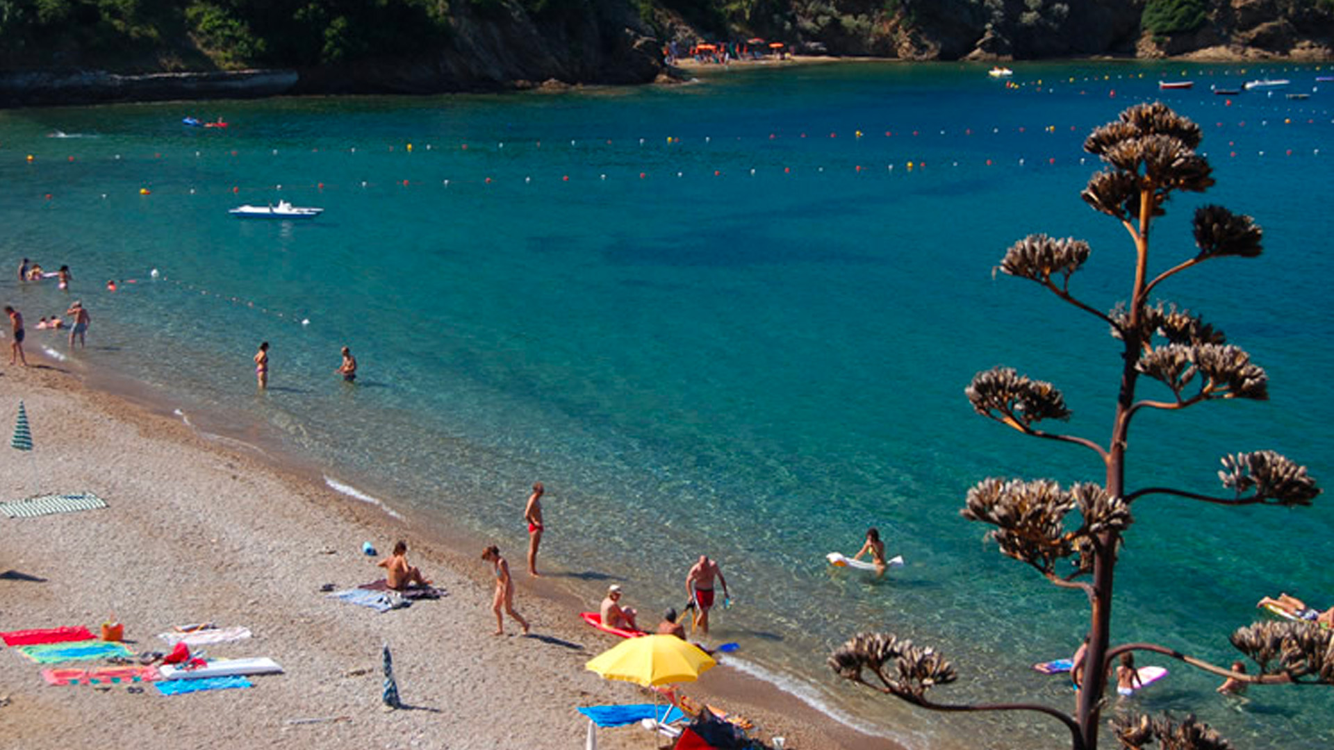 hotel stella maris con BluNavy traghetti