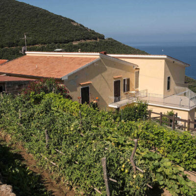 hotel villa rita con BluNavy traghetti