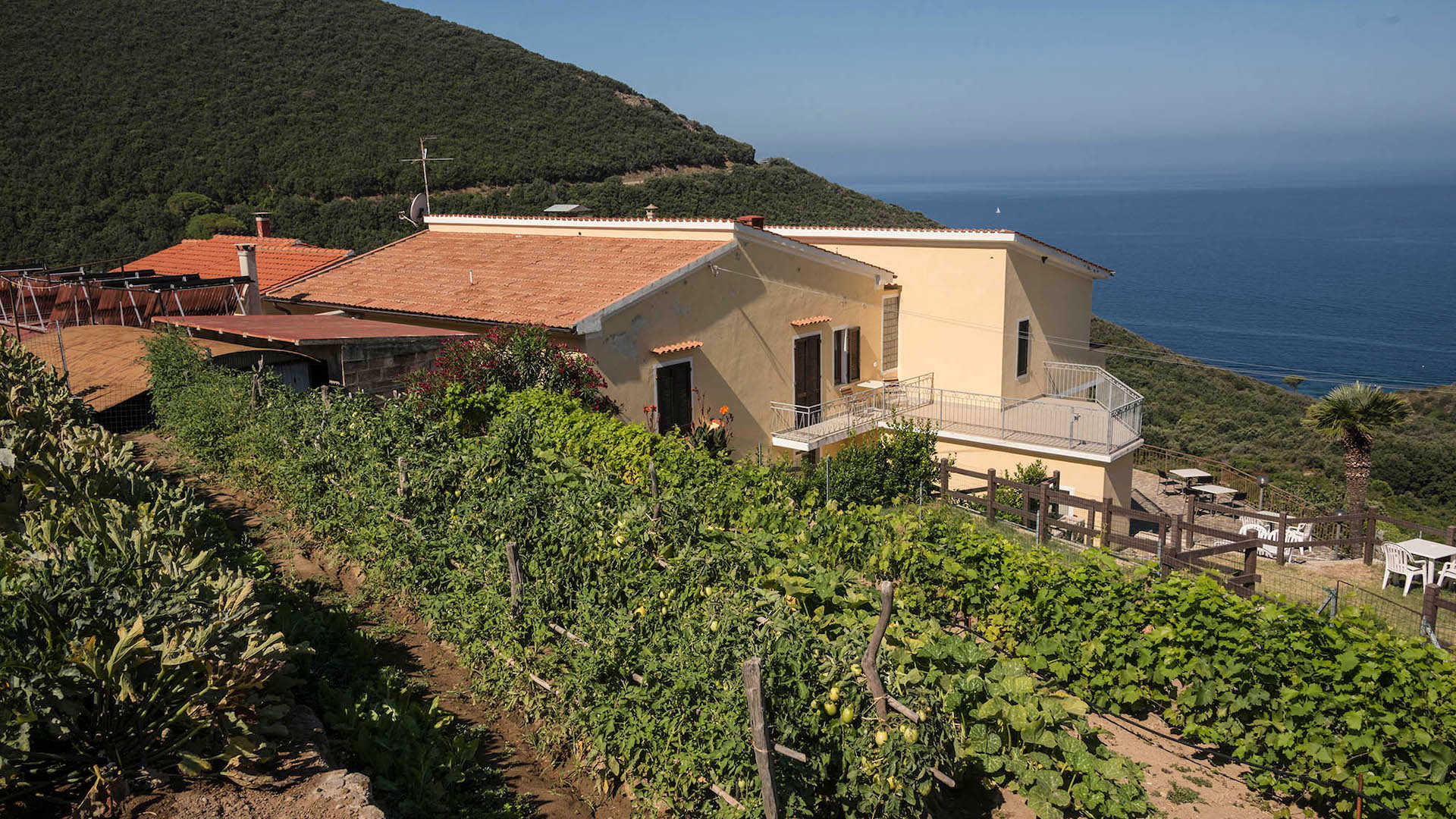 hotel villa rita con BluNavy traghetti