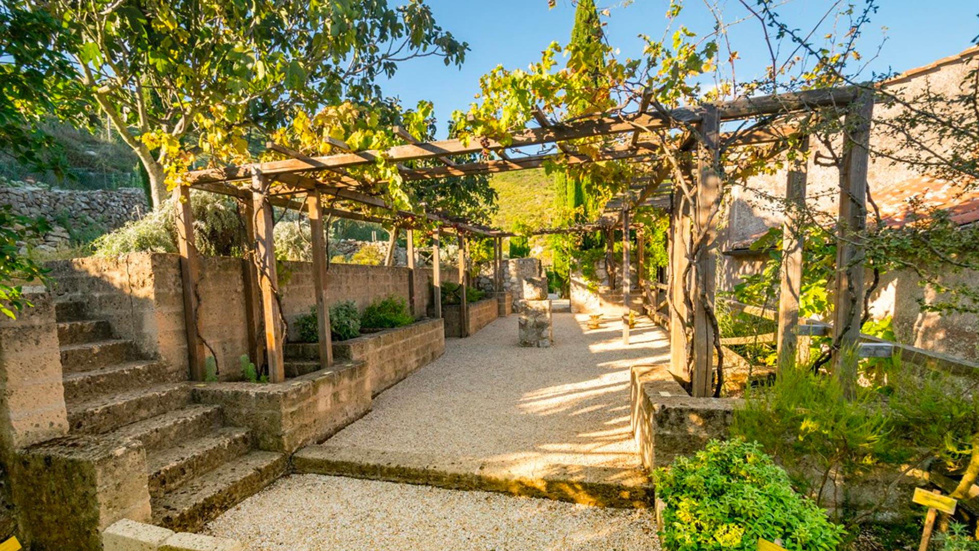 orto dei semplici Elba con Blu Navy